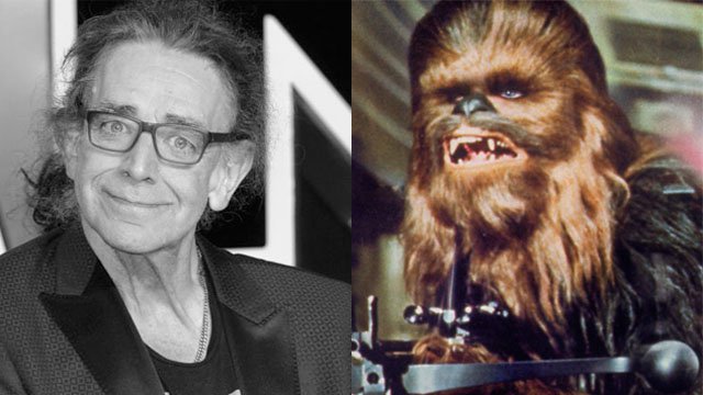 Next photo of Peter Mayhew